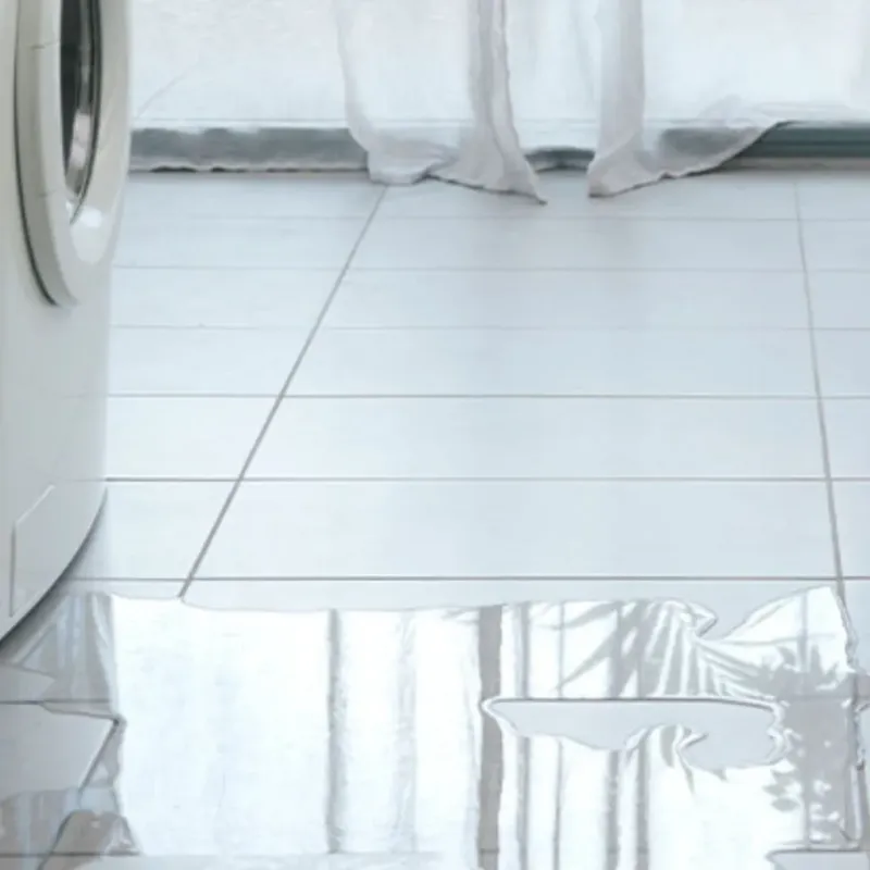 Appliance Leak Cleanup in Lee County, MS