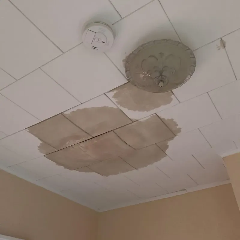 Ceiling Water Damage Repair in Lee County, MS