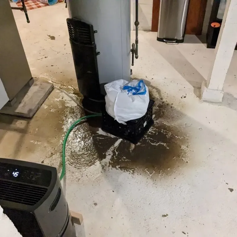 Sewage Backup Cleanup Service in Lee County, MS